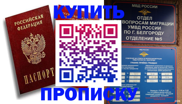 прописка иностранных граждан в Звенигово